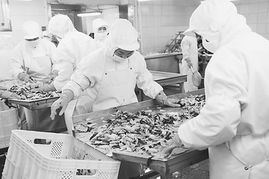 宏大食品公司聯合菜農成立農友蔬菜專業合作社