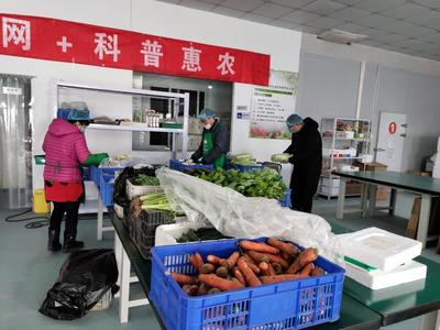 新鮮蔬果宅直送&ldquo;婦&rdquo;字號基地奮力保障市民菜籃子