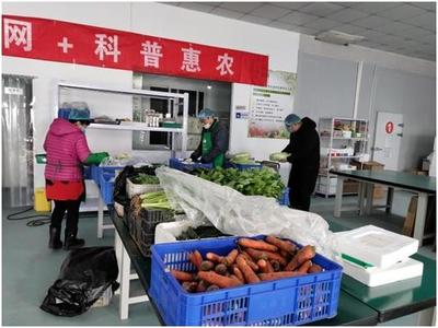 新鮮蔬果宅直送,&ldquo;婦&rdquo;字號基地奮力保障市民菜籃子