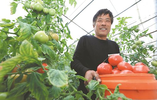 江淮競放幸福花