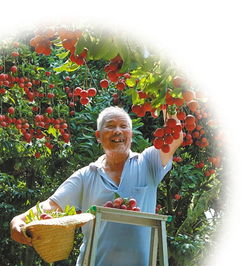 果樹也玩 私人訂制