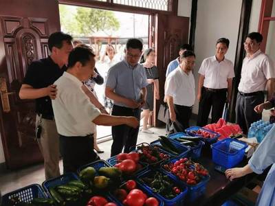 【鄉村振興】區領導赴羅店鎮天平村調研鄉村振興示范村建設情況