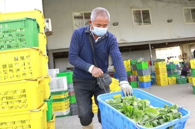 搶收搶種、調配蔬菜!他們正全力保障市場供應