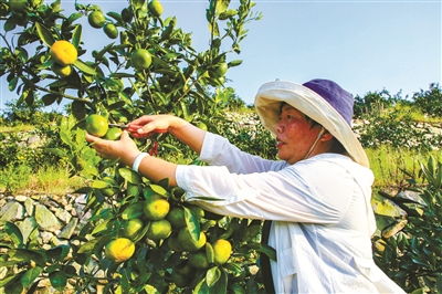 寧波日?qǐng)?bào)社數(shù)字報(bào)刊平臺(tái)