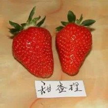 北京匯豐興農果蔬產銷專業合作社