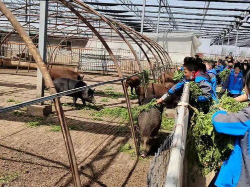 閻良學生走進農業園 體驗勞動樂趣