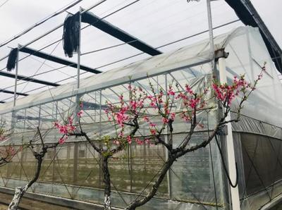 寶山這個&ldquo;農場聯盟&rdquo;帶你親密接觸大自然