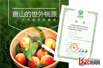 豐南區大齊各莊鎮雪豐果蔬種植專業合作社