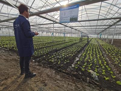 開眼界!這個基地蔬菜生產&ldquo;機器換人&rdquo;