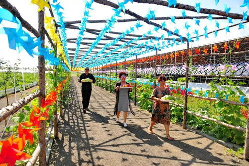 改革開(kāi)放40年 把 九里邨 系列產(chǎn)品推向全國(guó)