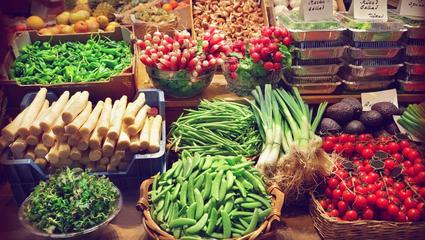 專業(yè)飯店、學(xué)校,食堂配送各種蔬果