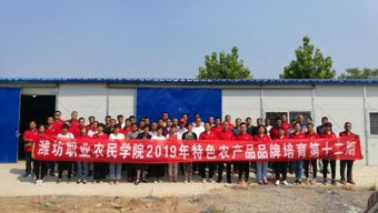 西紅柿黃瓜咋種 近300名壽光農(nóng)民接受專業(yè)培訓(xùn)