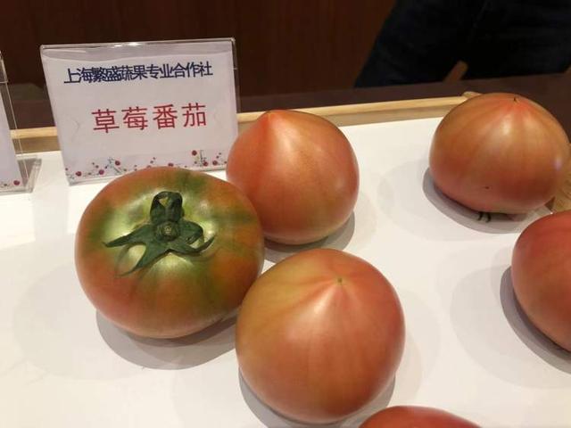 酸酸甜甜，草莓番茄來了！五十五個品種的繽紛盛宴