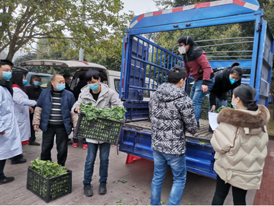 大足6家愛心企業為抗疫一線送去近3噸蔬果