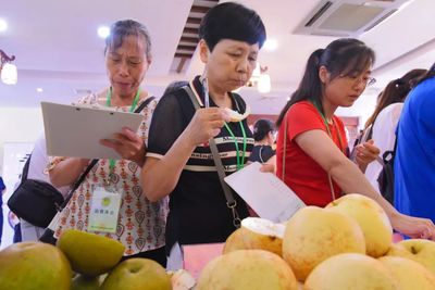 嘉定地產水果榮膺佳績，優質產品免費回饋市民