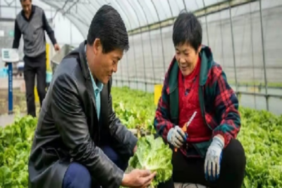 雙創(chuàng)帶頭人丨上海春昌蔬果專業(yè)合作社副理事長趙世豪 引領(lǐng)蔬果產(chǎn)業(yè)創(chuàng)新之路