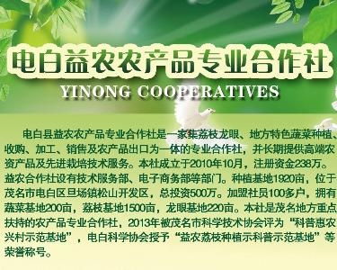 電白縣益農(nóng)農(nóng)產(chǎn)品專業(yè)合作社 蔬果產(chǎn)業(yè)發(fā)展的新引擎