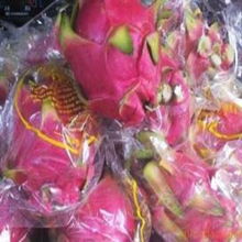 上海晶羽蔬果專業合作社 打造綠色健康的農產品供應鏈