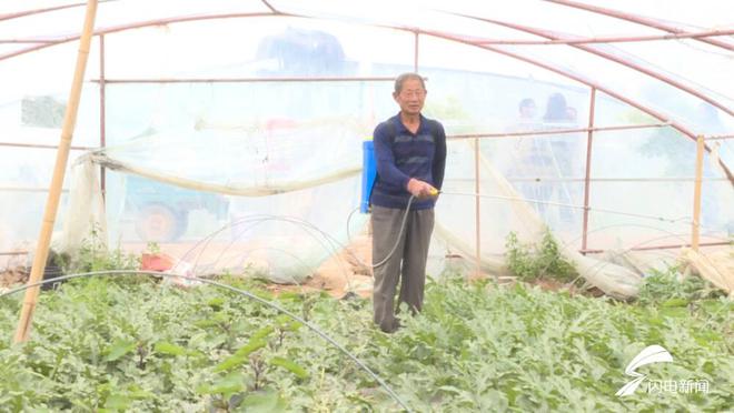 讓百姓吃上放心西瓜——平原“北侯西瓜”上市先過“檢驗”關