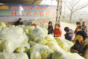 商報社區服務大篷車“年貨直通車”開進慈溪，蔬果專業合作社為居民送上新鮮年貨