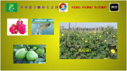 聯谷與中科量子鵬林生態園強強聯手，蔬果專業合作社譜寫民族品牌新篇章