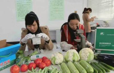 奏響農房改善“奮進曲” 繪就全面小康“風景線”——記蔬果專業合作社的振興之路