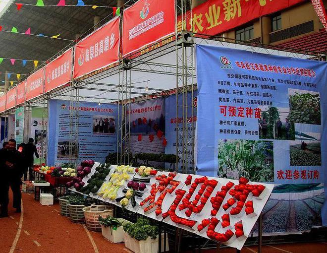 下活“特色棋” 臨泉蔬果專業合作社的產業振興新路徑