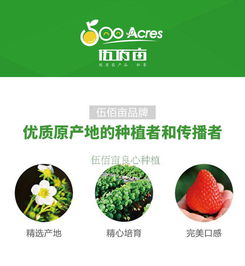 丹東市伍佰畝果蔬專業合作社——優質草莓批發采購指南