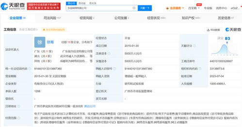 多益網絡新增被執行人信息，曾研發《神武》系列游戲